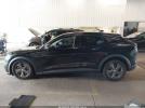 Ford Mustang Select Image 15